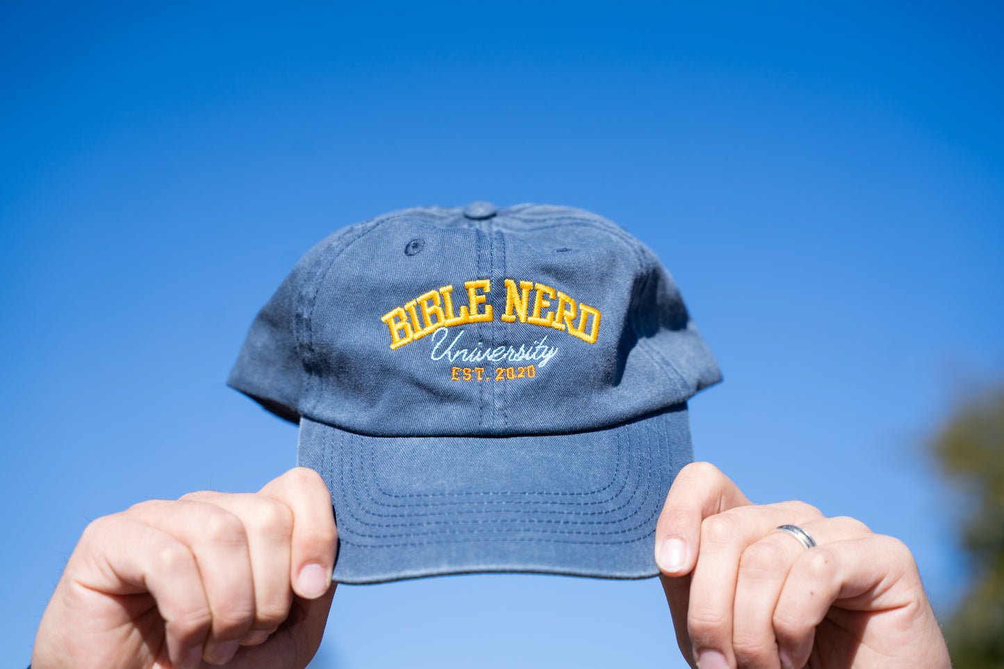 Bible Nerd University-style hat