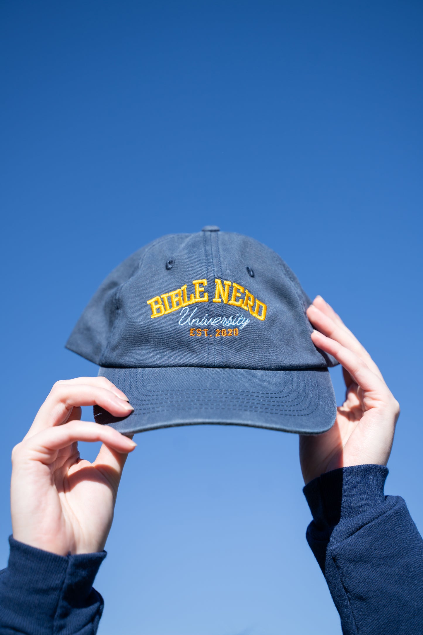 Bible Nerd University-style hat