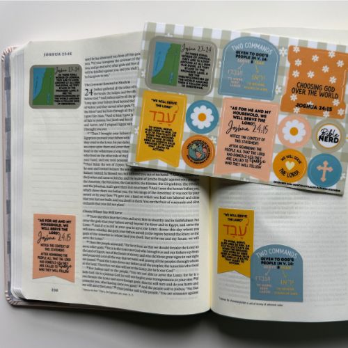Joshua 24:15 Bible Journaling Sticker Set