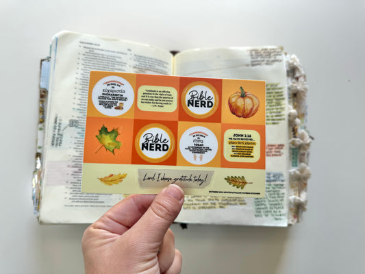 Gratitude Bible Journaling Sticker Study